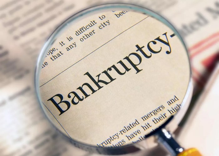 Bankruptcy Explained: Types and How It Works