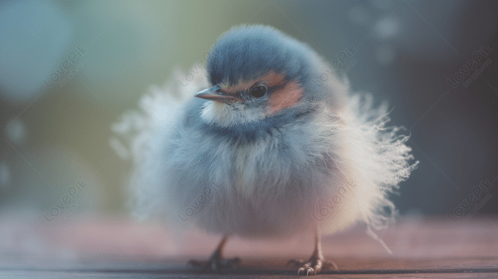 Very Small Images, HD Pictures For Free Vectors Download - Lovepik.com